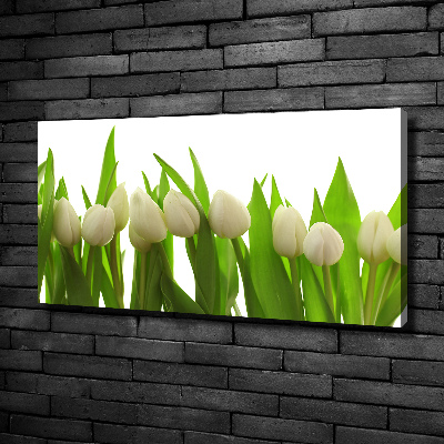 Schilderij op canvas Witte tulpen