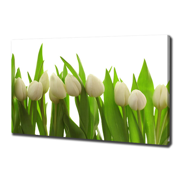 Schilderij op canvas Witte tulpen