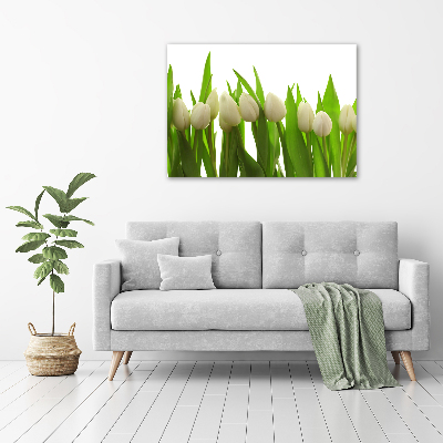 Schilderij op canvas Witte tulpen