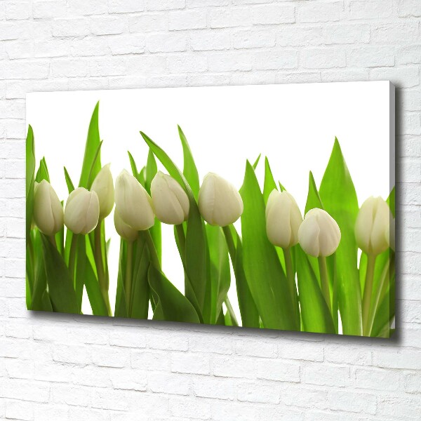 Schilderij op canvas Witte tulpen