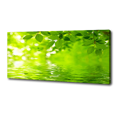 Foto canvas Groene bladeren