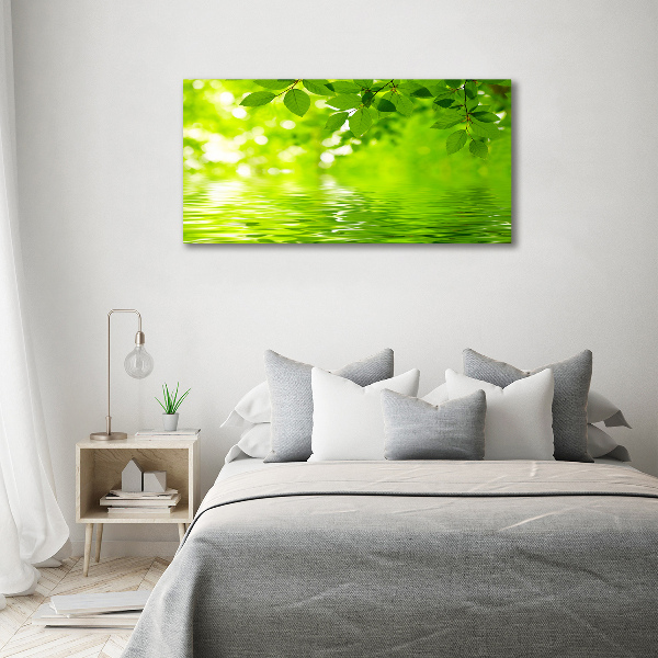 Foto canvas Groene bladeren