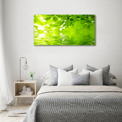 Foto canvas Groene bladeren