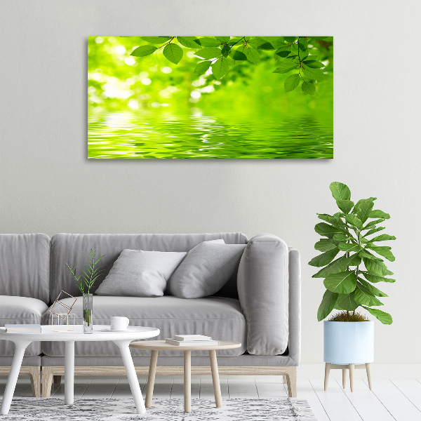 Foto canvas Groene bladeren