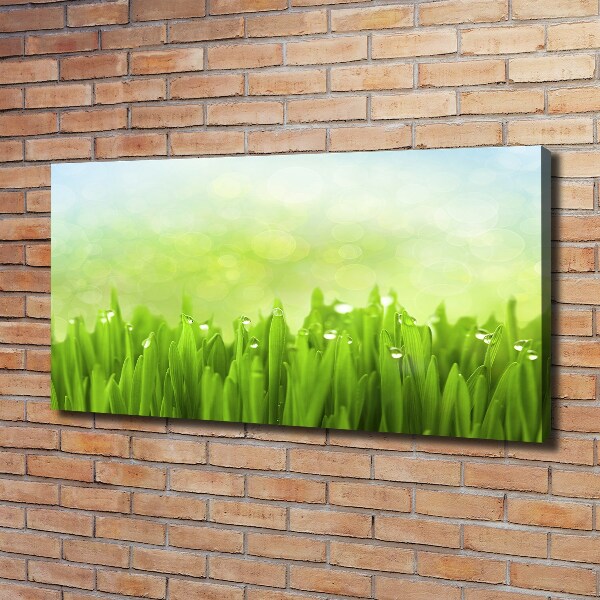 Canvas foto Gras