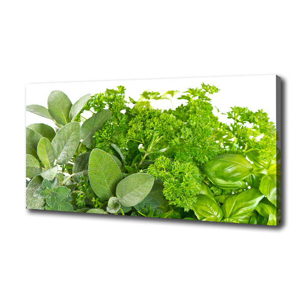 Foto canvas Kruiden