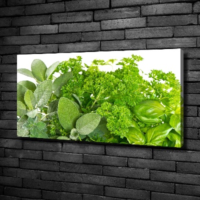 Foto canvas Kruiden
