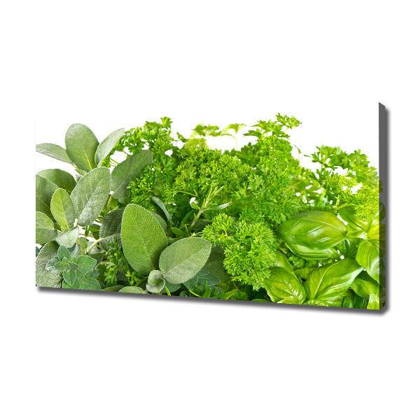 Foto canvas Kruiden