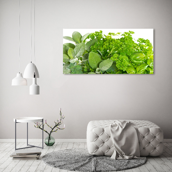 Foto canvas Kruiden