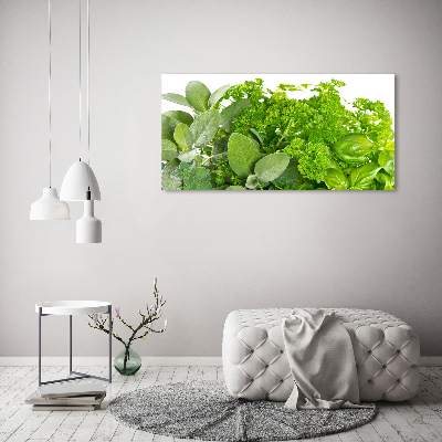 Foto canvas Kruiden