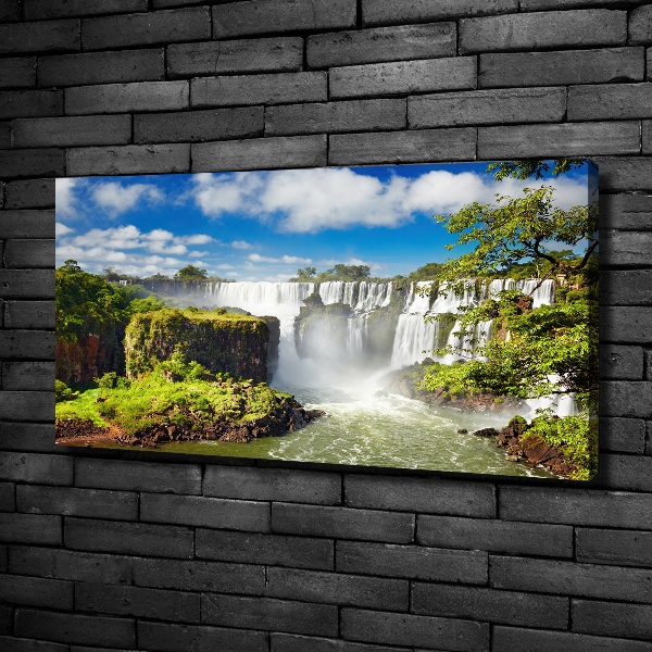 Schilderij op canvas Argentijnse waterval