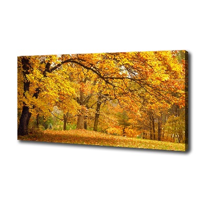Foto canvas De herfst in het park