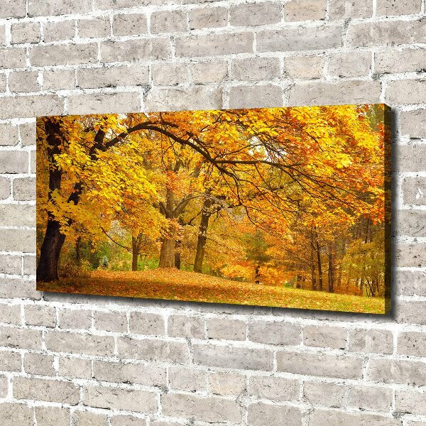 Foto canvas De herfst in het park