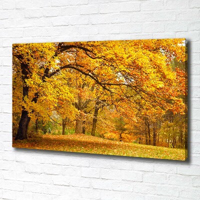 Foto canvas De herfst in het park