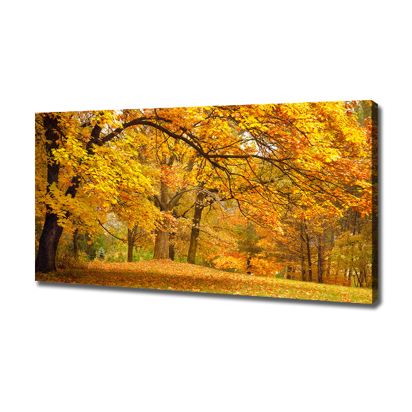 Foto canvas De herfst in het park
