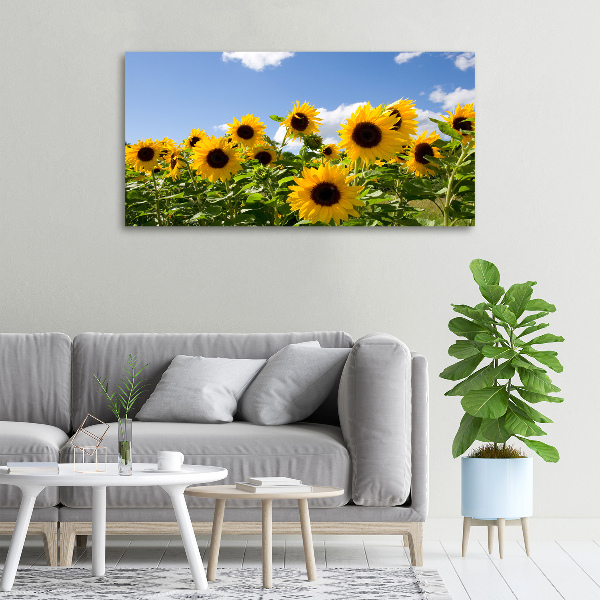 Schilderij op canvas Zonnebloemen