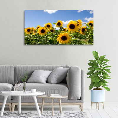 Schilderij op canvas Zonnebloemen