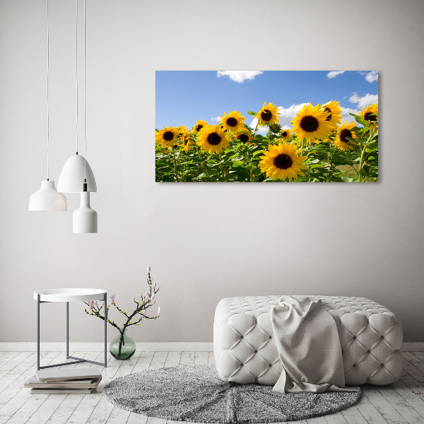 Schilderij op canvas Zonnebloemen