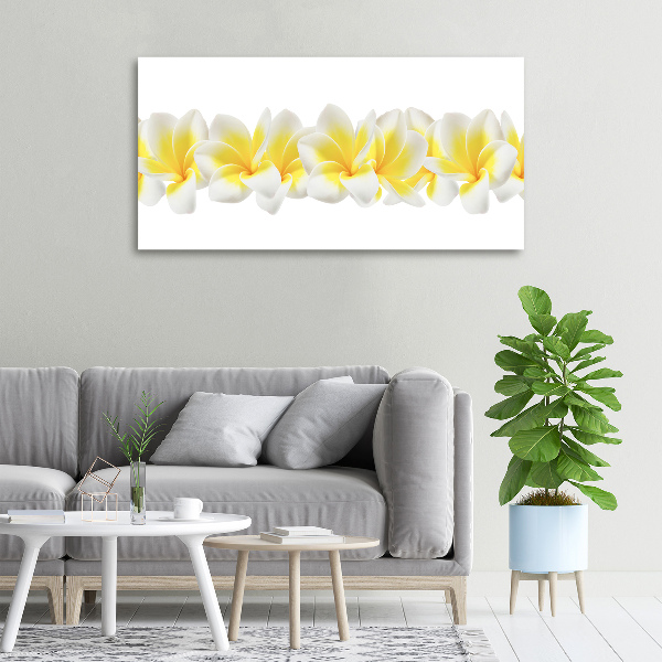 Foto canvas Plumeria