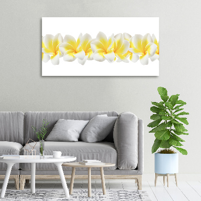Foto canvas Plumeria