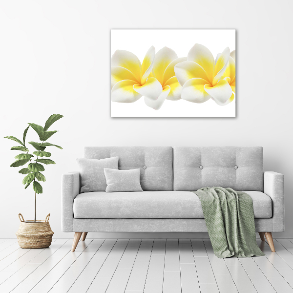 Foto canvas Plumeria