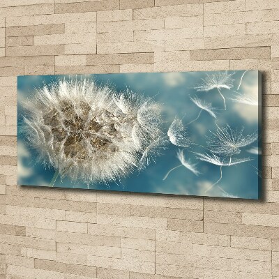 Foto op canvas Paardenbloemen