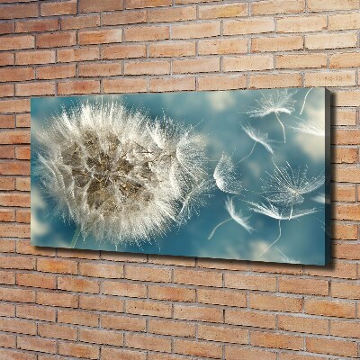 Foto op canvas Paardenbloemen