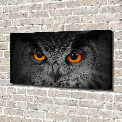 Schilderij op canvas Duivelse uilenogen
