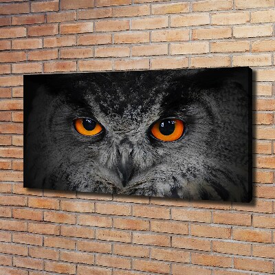 Schilderij op canvas Duivelse uilenogen