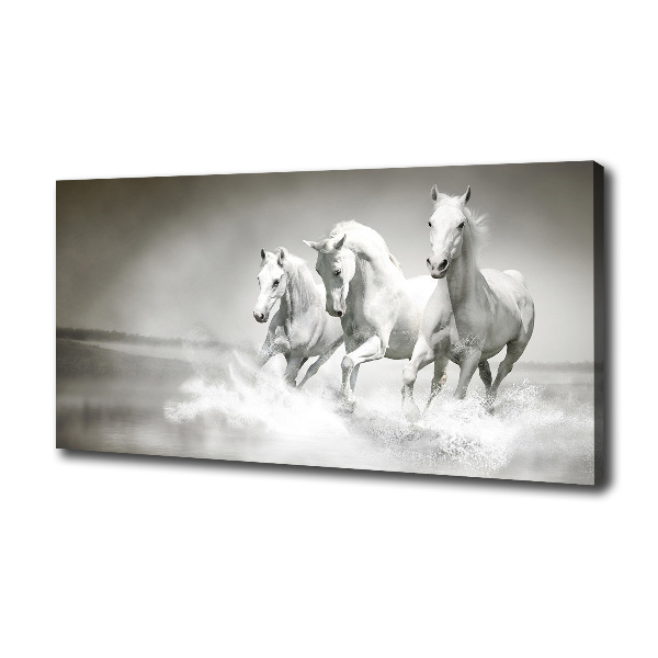 Foto op canvas Witte paarden