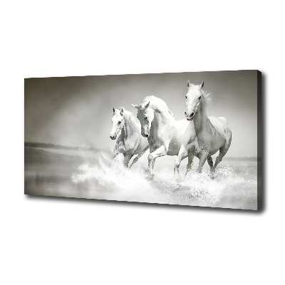 Foto op canvas Witte paarden