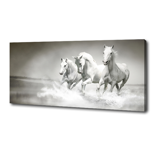 Foto op canvas Witte paarden