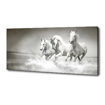 Foto op canvas Witte paarden
