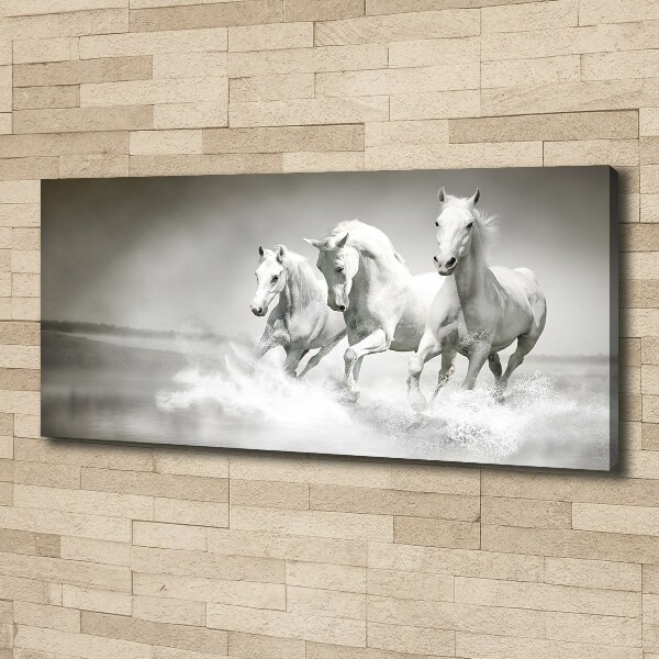 Foto op canvas Witte paarden
