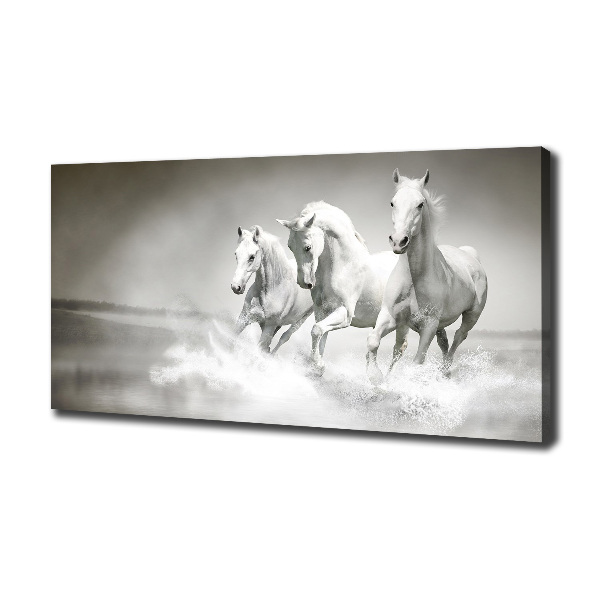 Foto op canvas Witte paarden