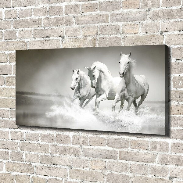 Foto op canvas Witte paarden