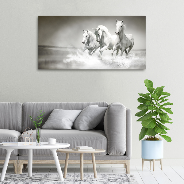 Foto op canvas Witte paarden