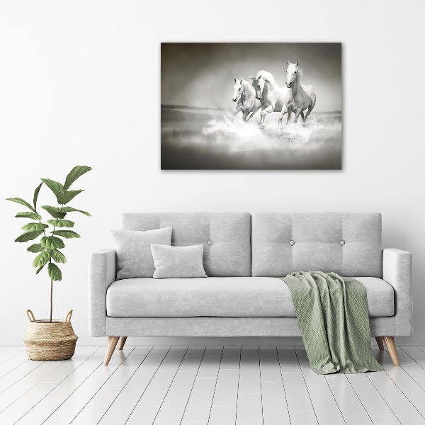 Foto op canvas Witte paarden