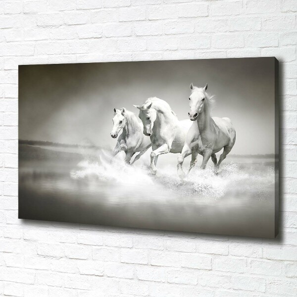 Foto op canvas Witte paarden