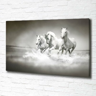 Foto op canvas Witte paarden