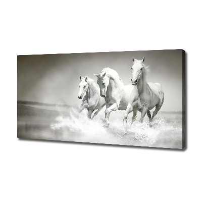 Foto op canvas Witte paarden