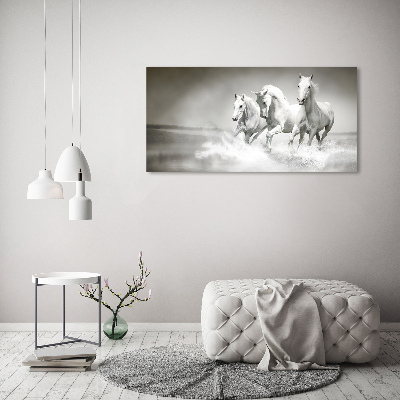 Foto op canvas Witte paarden