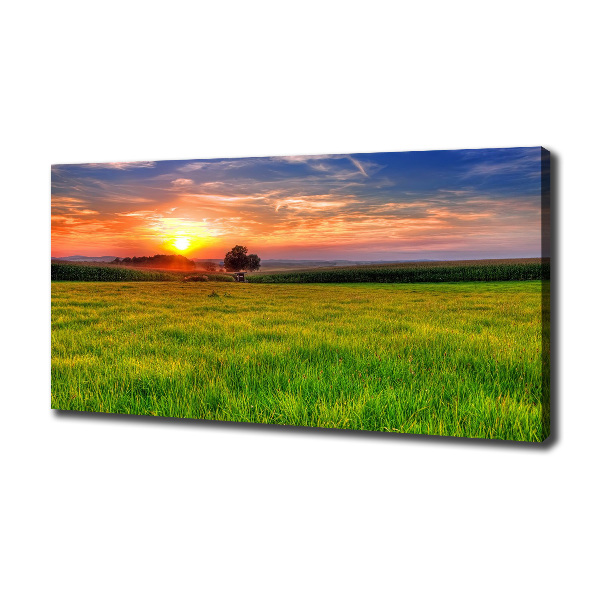 Foto op canvas Zonsondergangweide