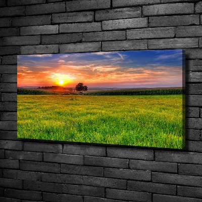 Foto op canvas Zonsondergangweide