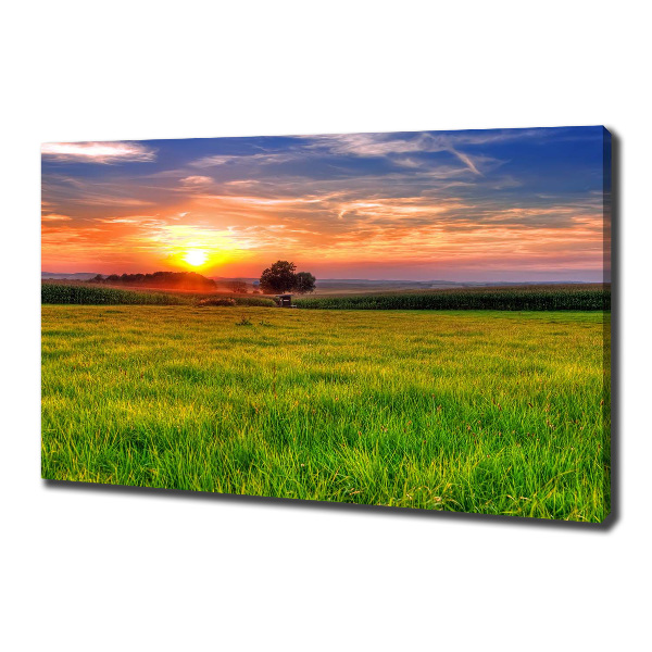 Foto op canvas Zonsondergangweide