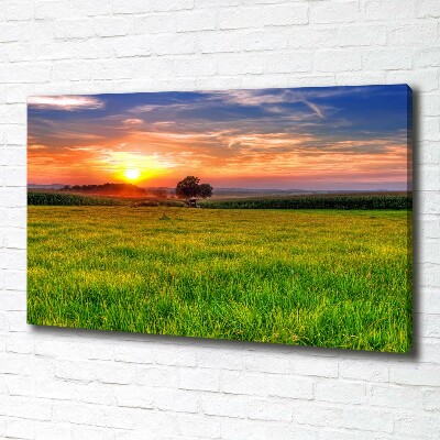 Foto op canvas Zonsondergangweide