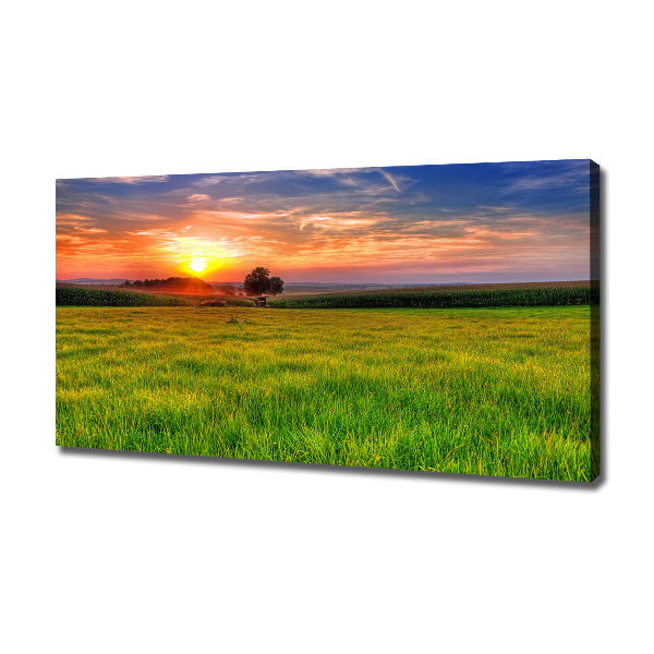 Foto op canvas Zonsondergangweide