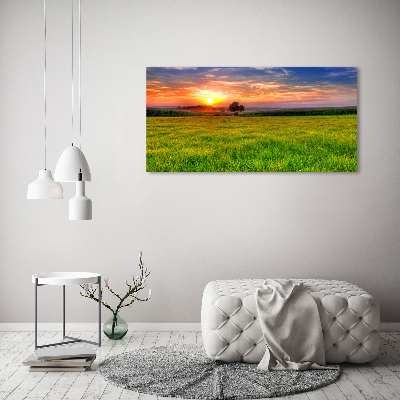 Foto op canvas Zonsondergangweide