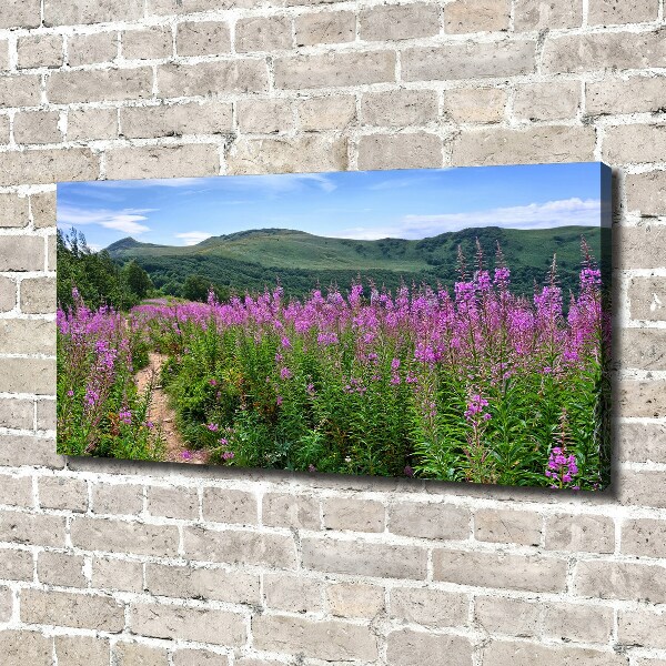 Canvas foto Groene heuvels