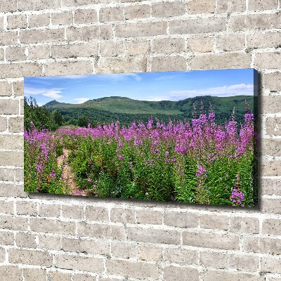 Canvas foto Groene heuvels